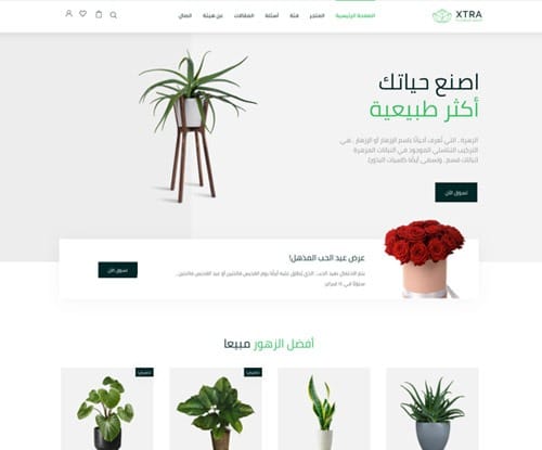 محل زهور