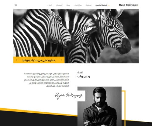مصور فوتوغرافي